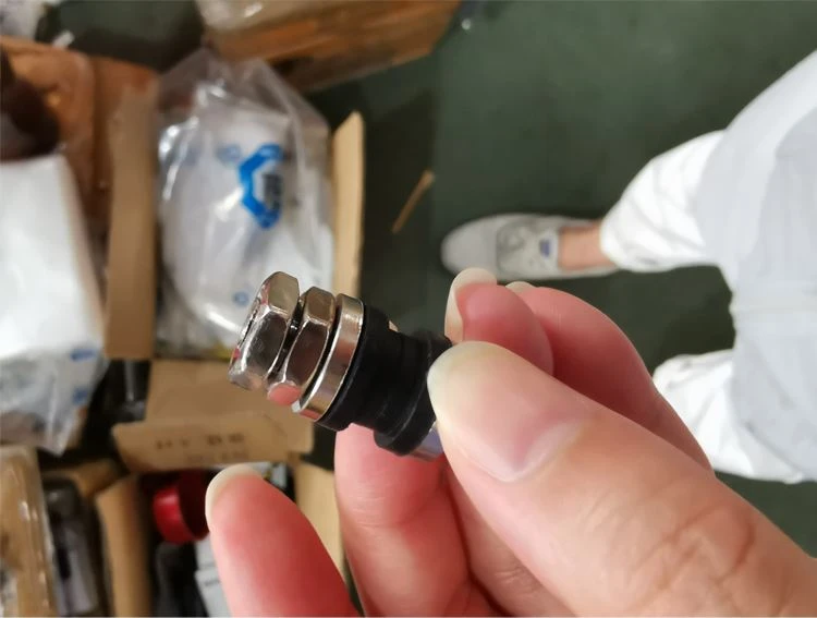 Metal Tire Valves for Car